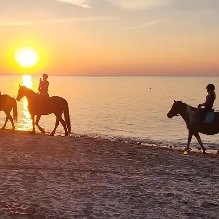 Dom wakacyjny With 1 Bedroom Postomino